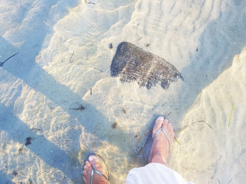 person wading in the ocean, illustrating mindfulness meditation