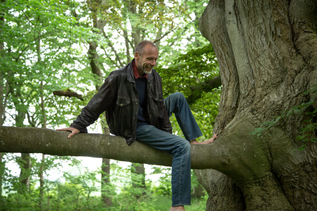 Stephan smiling in a tree, encouraging you to face your fears 