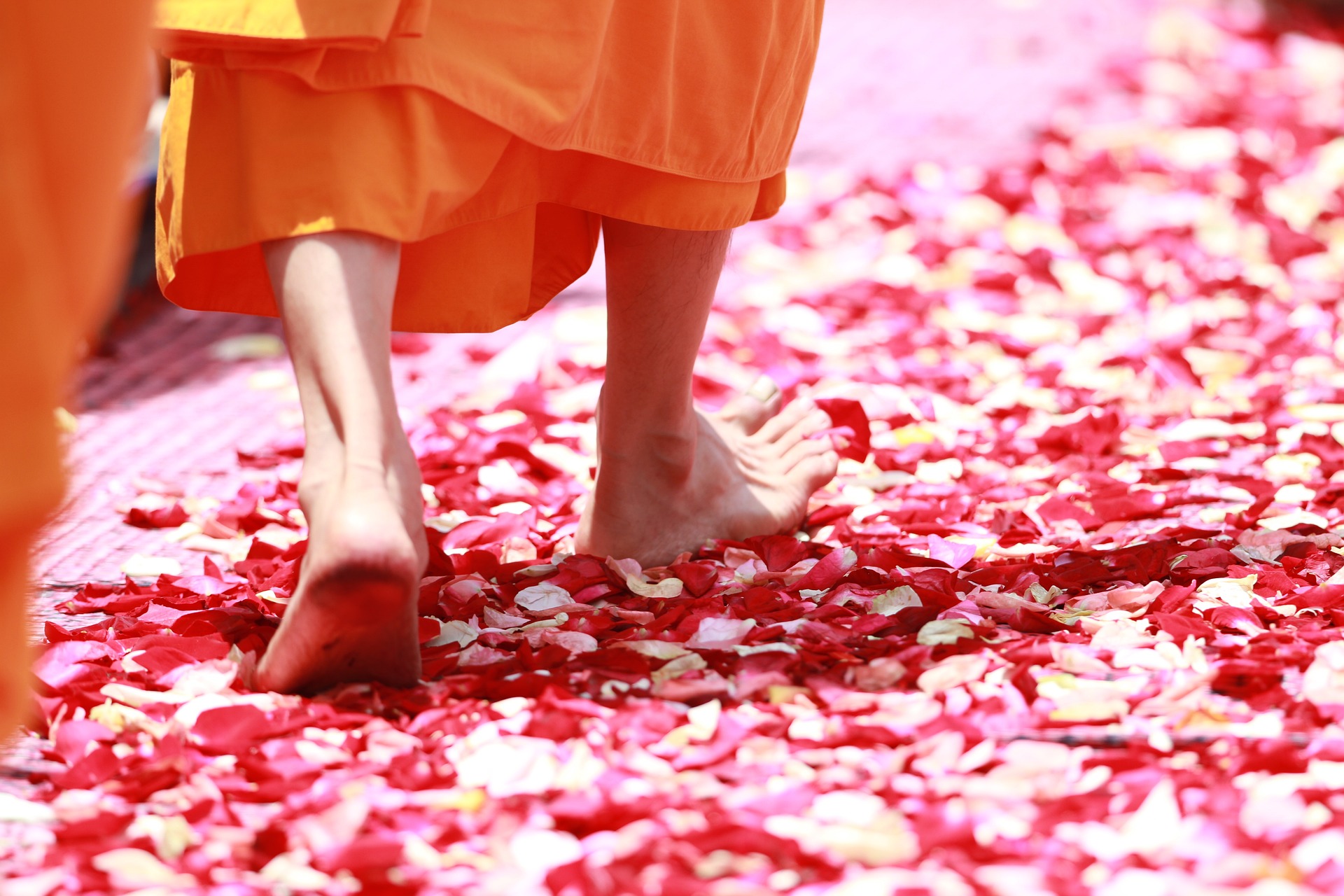 Monk walking on petals, representing Tonglen practice