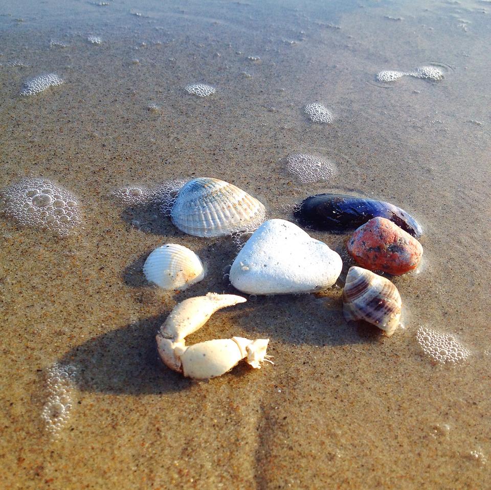 shells on the beach, representing going beyond mindfulness