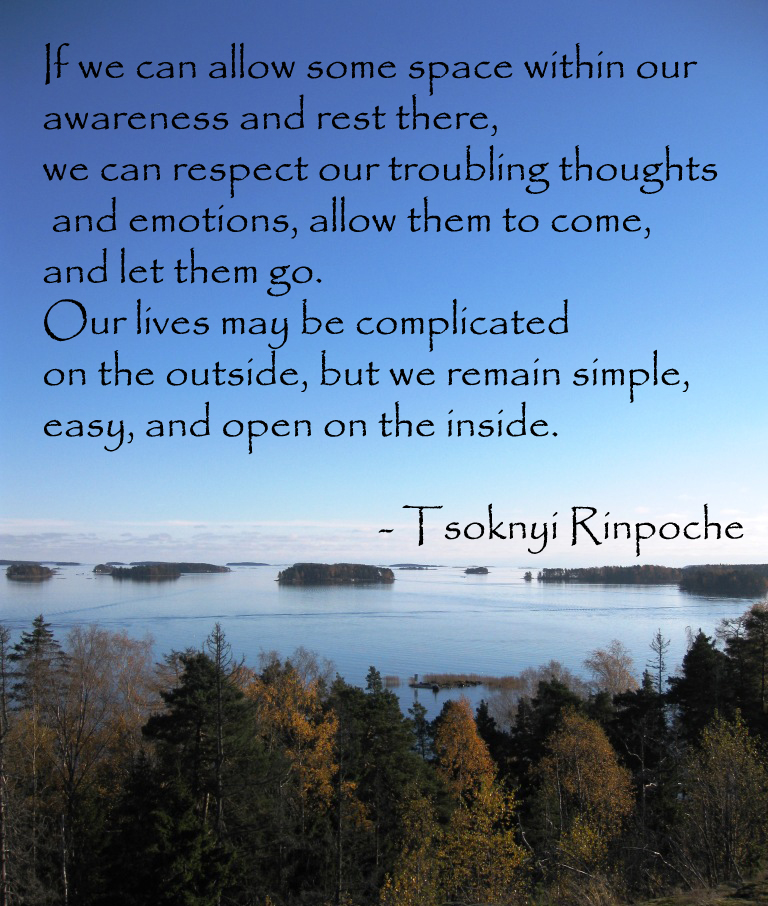 Tsoknyi Rinpoche quote