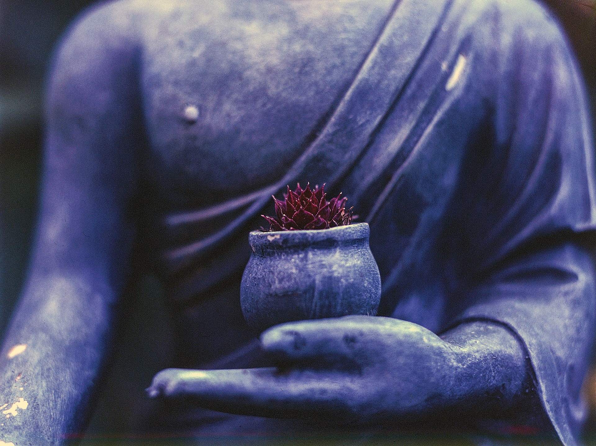 image of Buddha holding a plant