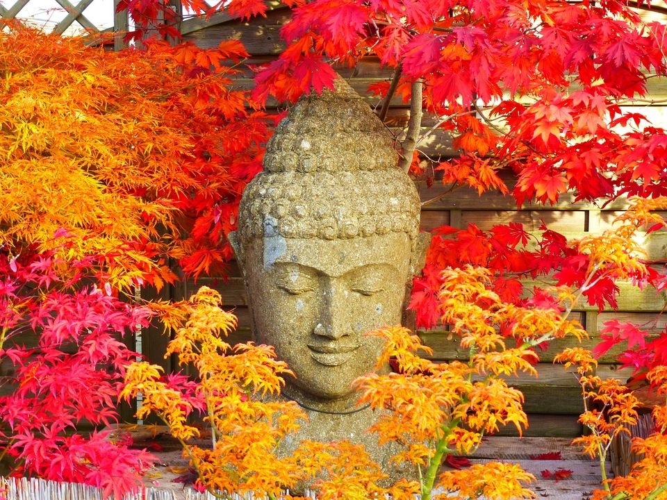 Buddha statue in colorful leaves